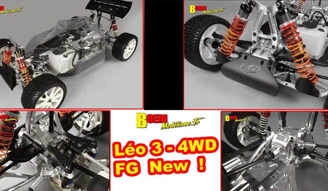 FG Buggy Leo 3 1/6 4WD
